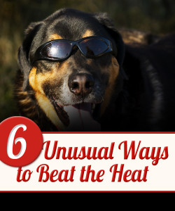 6 Unusual Ways to Beat the Heat
