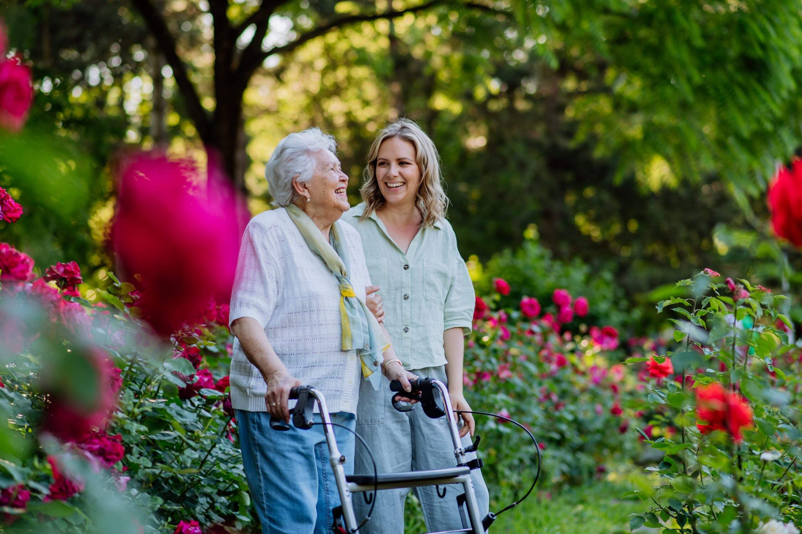 Featured image for post Back-to-School Resources for Family Caregivers in McHenry, IL