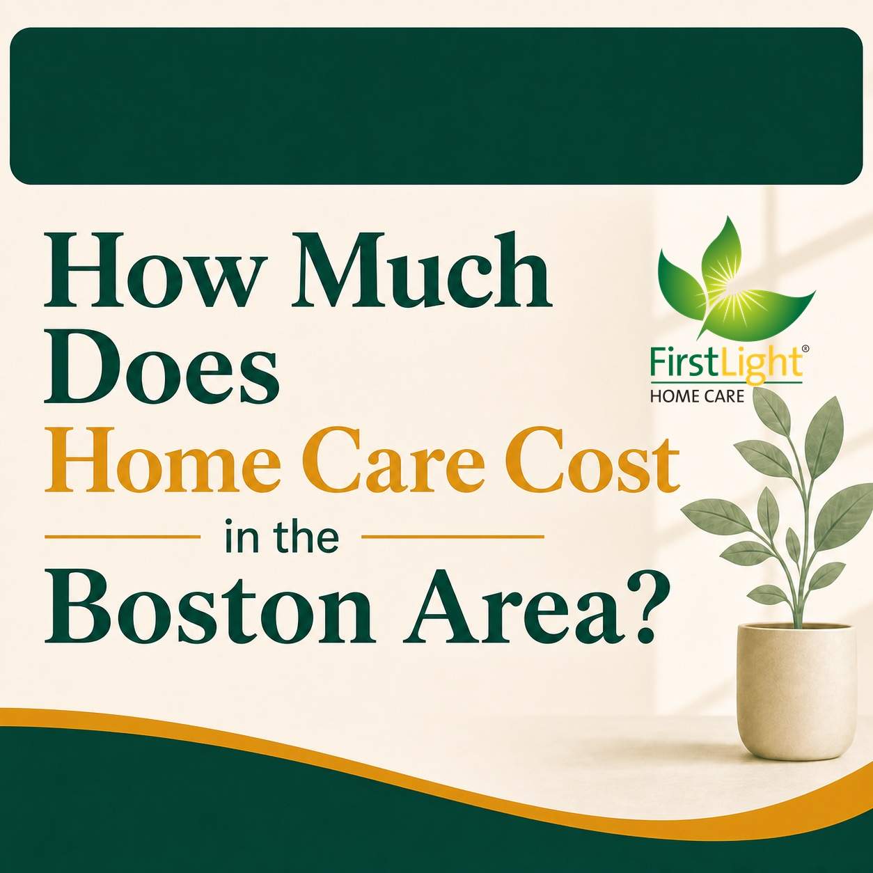 How Much Does Home Care Cost Graphic