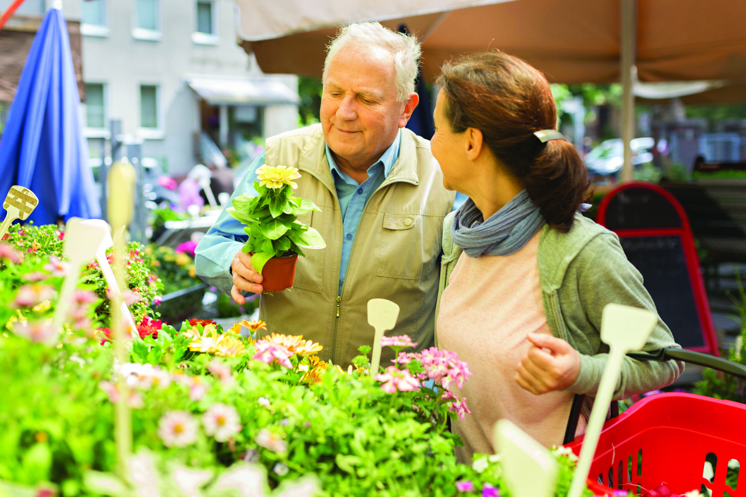 Featured image for post Enjoying Westchester County's Senior-Friendly activities with Caregiver Support 