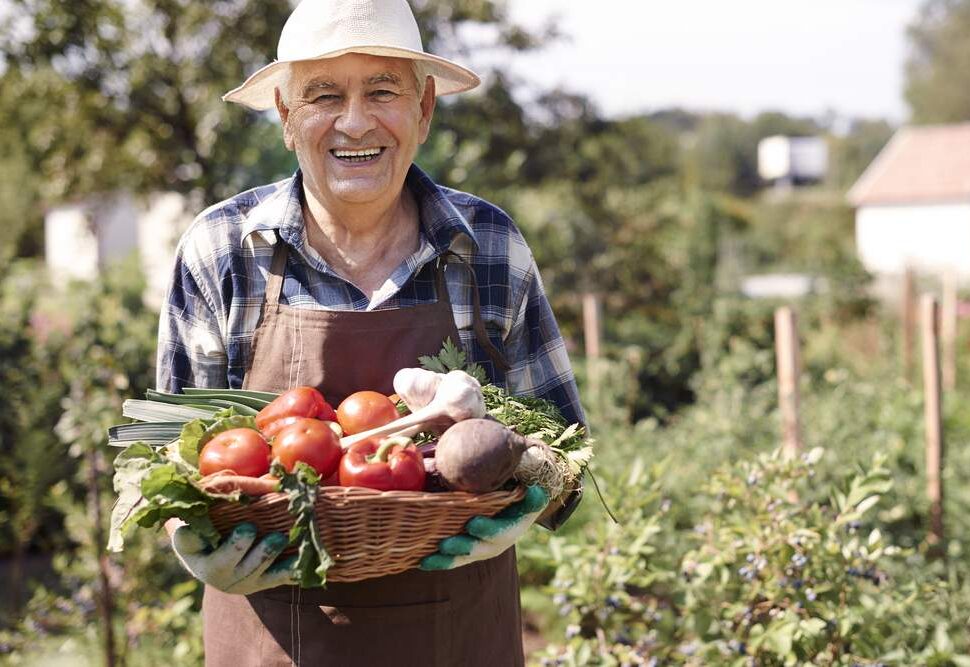 Fruits and Veggies for Seniors