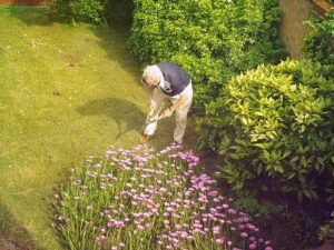 health benefits of gardening for seniors